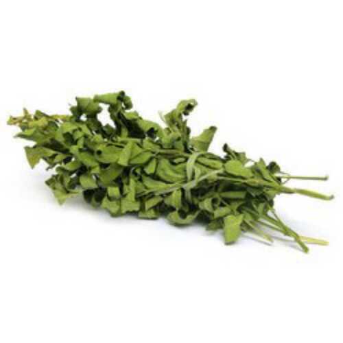 Green Dry Dried Moringa Leaves, Packaging Type: PP Bags, Packaging Size:  25KG at best price in Sojat