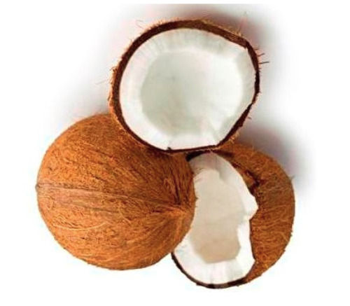 Pack Of 1 Kilogram A Grade Common Cultivation Dried Fresh Coconut