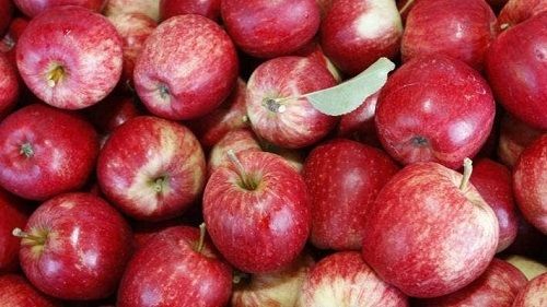Red And Fresh Raw Apple