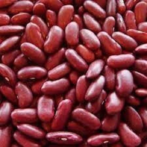 Common 1 Kg Indian Origin Dried High In Protein Red Kidney Bean