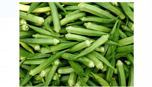 1 Kilogram 10 Days Shelf Life Fresh And Natural Green Lady Finger Application: Restaurant