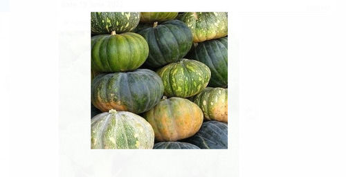 1 Kilogram 5 Days Shelf Life Fresh And Natural Green Pumpkin Application: Gain Strength