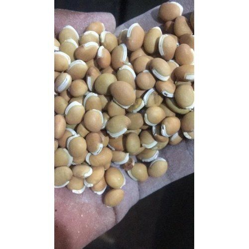 100 Percent Pure Farm Fresh Indian Origin Naturally Grown Vitamins Rich Butter Beans