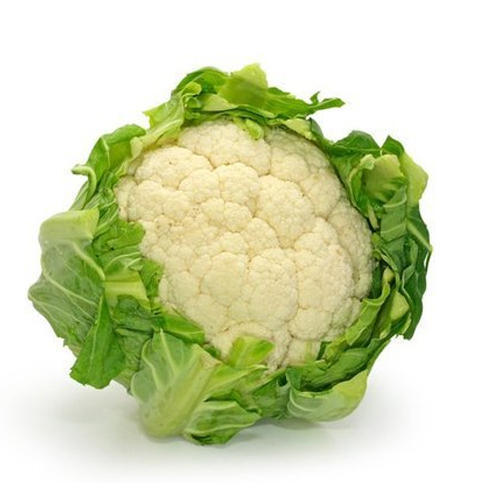 Healthy Farm Fresh Indian Origin Green Cauliflower For Cooking Use