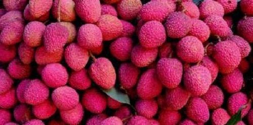 White Pack Of 1 Kilogram 4 Days Shelf Life Sweet Taste Pink Fresh Litchi