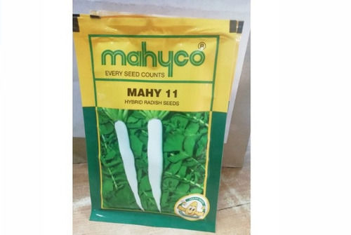 10 Gram Agriculture Mahyco Hybrid Radish Seeds