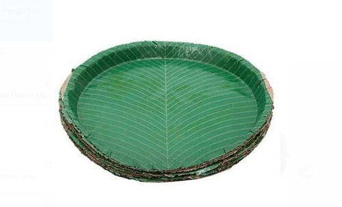 7 Inches Round Green Color And Eco Friendly Disposable Paper Plate