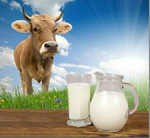 Cow Milk Age Group: Children