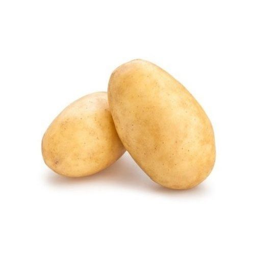 High In Protein And Calcium Good In Taste Fresh Brown Potato