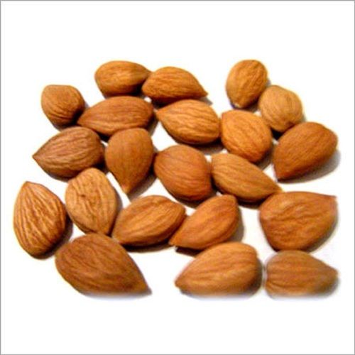 Natural And Healthy Rich Protein And Carbohydrates Fiber Kernel Apricot Seed