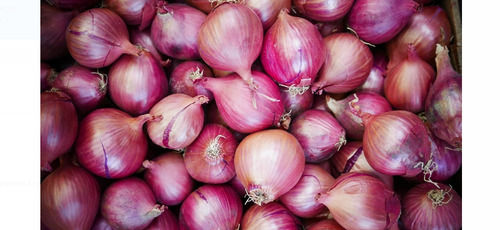 Pack Of 1 Kilogram Natural And Pure Fresh Onions Vegetable