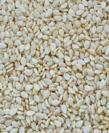 Wholesale Price Export Quality Dried and Cleaned White Sesame Seeds