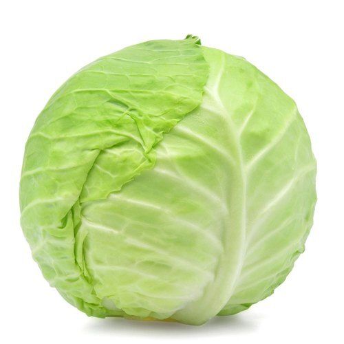 Naturally Grown Vitamins Rich Healthy Farm Fresh A Grade Fresh Green Cabbage