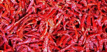 Wholesale Price Export Quality Dried Red Chilli For Spices