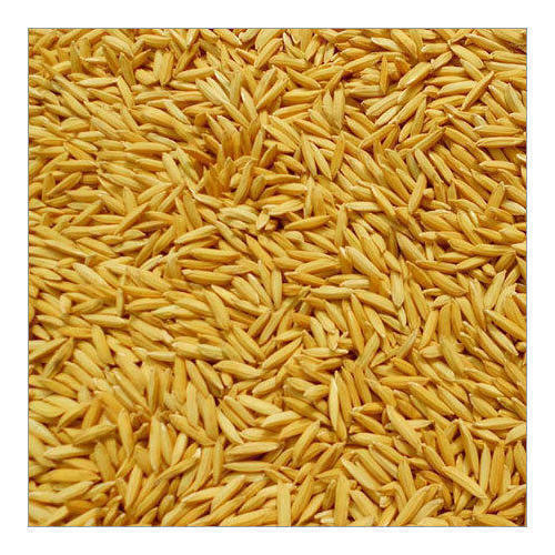 Automatic 100% Pure Healthy Indian Origin Brown Colour Natural Paddy Rice Rich In Carbohydrate