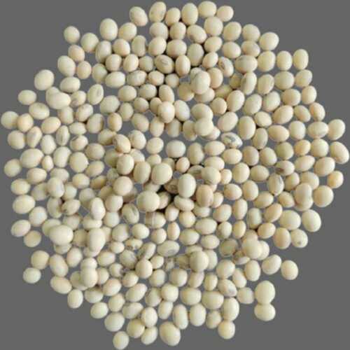 100% Organic White Soybean Seeds With 6% Moisture(Food Grade)