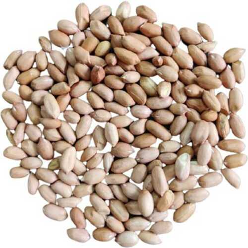 99% Purity Brown Groundnut Seeds With 6 Months Shelf Life
