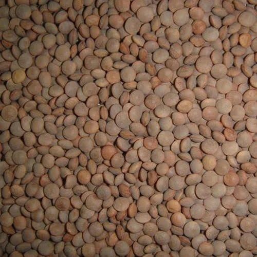 Commonly Cultivated Food Grade Pure And Dried Whole Masoor Dal