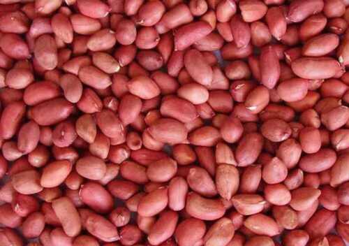 Organic Groundnut Seeds With 12% Protein And 6 Months Shelf Life Ingredients: Herbs