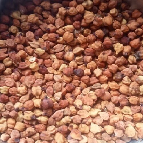 Brown Common Cultivation High Protein Dried Chickpea