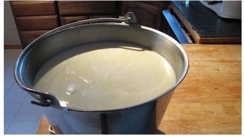 पाउडर फैट 17 ग्राम 100 प्रतिशत ताजा स्वस्थ और प्राकृतिक प्रोटीन और मिनरल्स से भरपूर भैंस का दूध