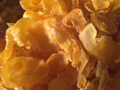 लस मुक्त और कोई जेनेटिक इंजीनियरिंग नहीं प्राकृतिक मक्का पोहा