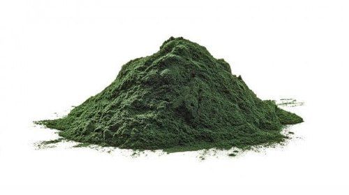 spirulina powder