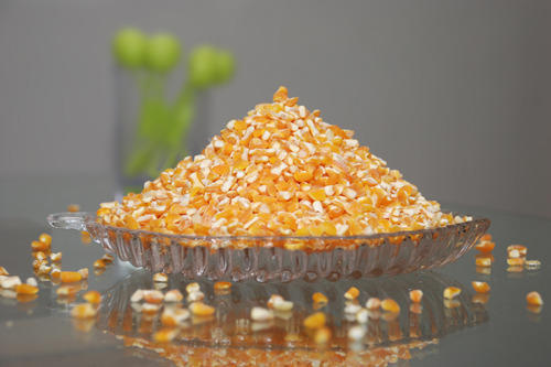 प्राकृतिक और स्वस्थ अच्छी गुणवत्ता वाला पीला रंग मक्का ग्रिट