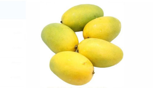 Non Glutinous Pure Fresh Mango