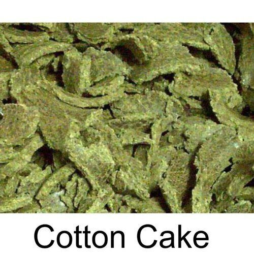 Tasty And Healthy High In Protein Natural Cotton Seed Cake