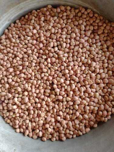 Groundnut Kernels  - Broken (%): 1