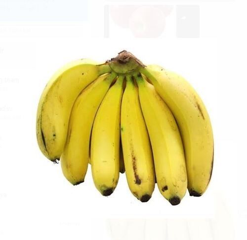 Automatic A Grade Nutrient Enriched Healthy Fresh Sweet Yellow Banana