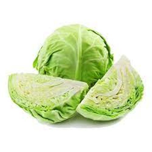 Fresh Green Cabbage