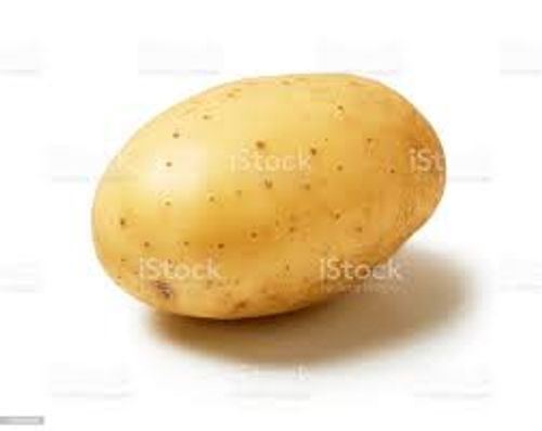 100% Natural And Organic Fresh Yellow Round Potato