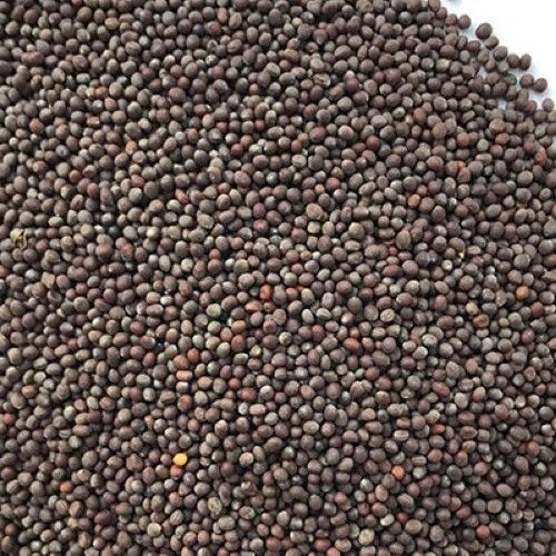  100% Pure Organic Brown Mustard Seeds (Brown Colors), Used For Herbal Products, Nursing Any Medications And Cooking .
