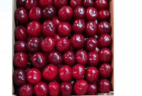 1 Kg Round Shape Open Air Cultivated Sweet Taste Red Cherry
