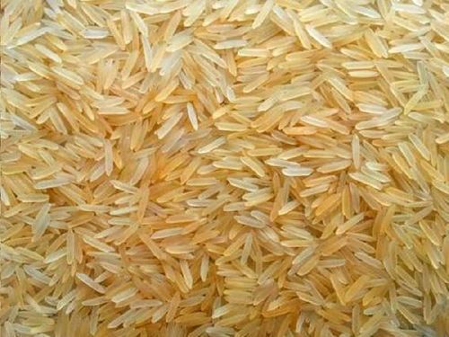 100 Percent Pure And Organic A Grade Long Grain Dried Golden Rice Application: Industrial