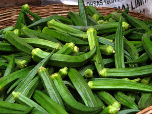 A Grade Nutrient Enriched Pure And Fresh Green Okra