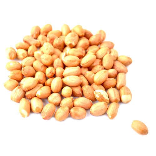 Indian Origin Dried Peanuts