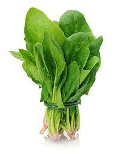 High Vitamins A Potassium Nourishing Tasty Natural Grown Green Fresh Spinach Moisture (%): 9.89 To 14.36%