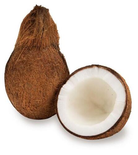 Green Medium Size Fresh Coconut, Weight 350-400Gm