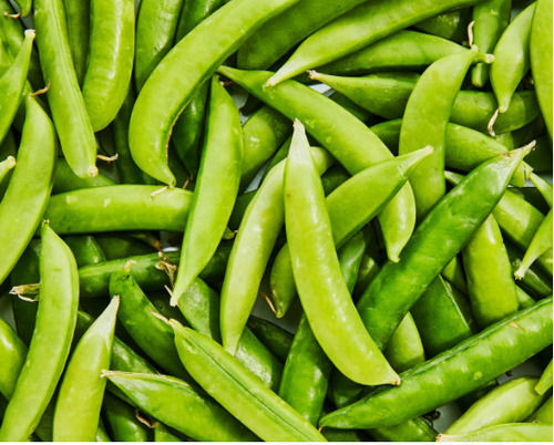 Nutrient Enriched A Grade Fresh Green Peas