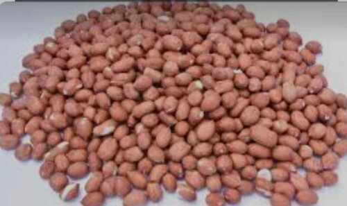 Organic Ground Nut In Natural Taste, Good For Health And High In Protein