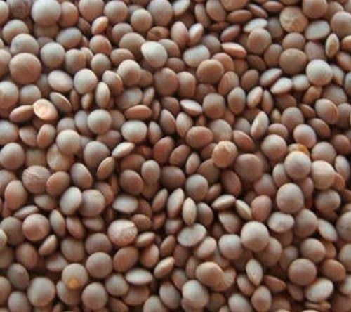 1 Kilogram Food Grade Common Cultivation Brown Masoor Dal