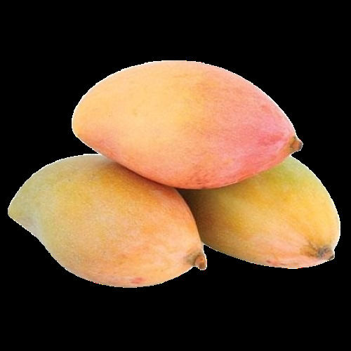 A Grade Yellow Fresh 100% Organic Natural Rich Flavour Totapuri Mango Shelf Life: 2 Months