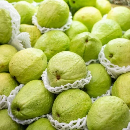 Fresh Healthy Natural Extraordinary Rich In Vitamin C Small Seeds Guava