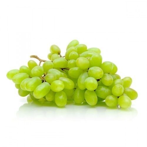 Common Indian Origin Commonly Cultivated Fresh Green Grapes