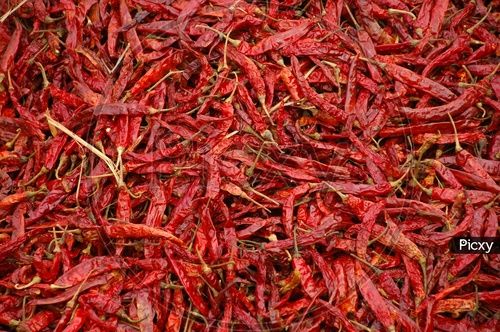 100% Natural Sun Dried Red Chilli For Cooking Use