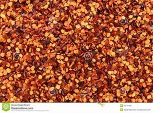 Common For Planting Kitchen Gardening Easy To Grow Golden Colour Natural Dried Chilli Seeds