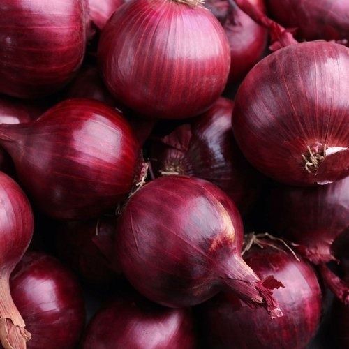 Pack Of 5 Kilograms A Grade Fresh And Red Onion 
